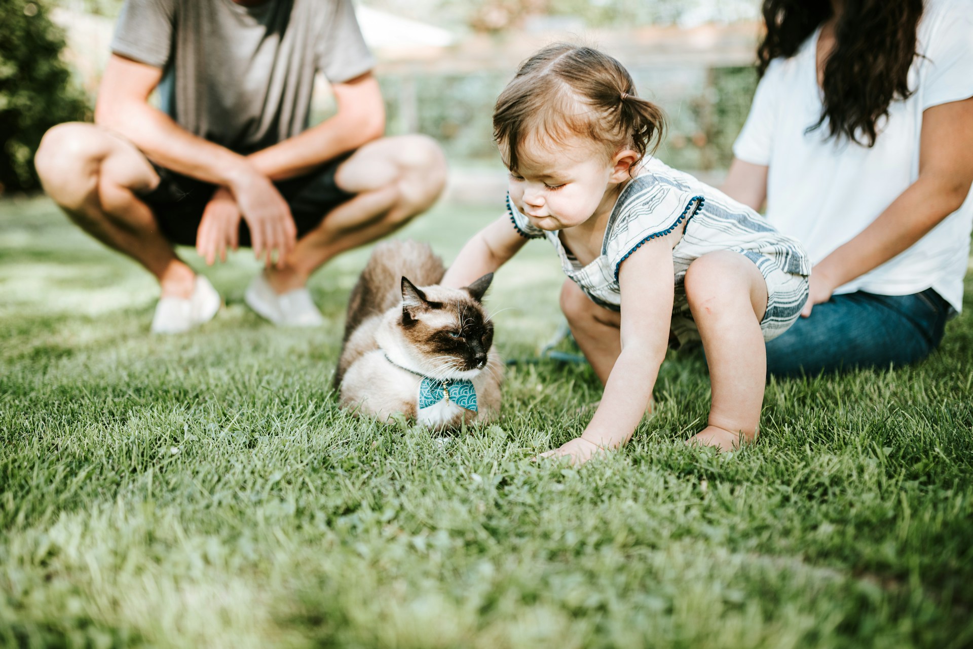 A baby girl petting a cat in the yard